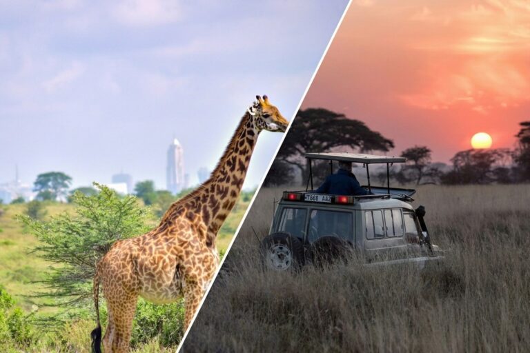 comparison safari kenya ou tanzanie